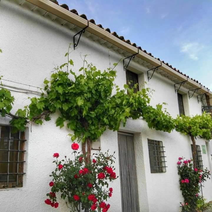 Casa Rural El Cortijo Nuevo El Cerezo Exterior foto